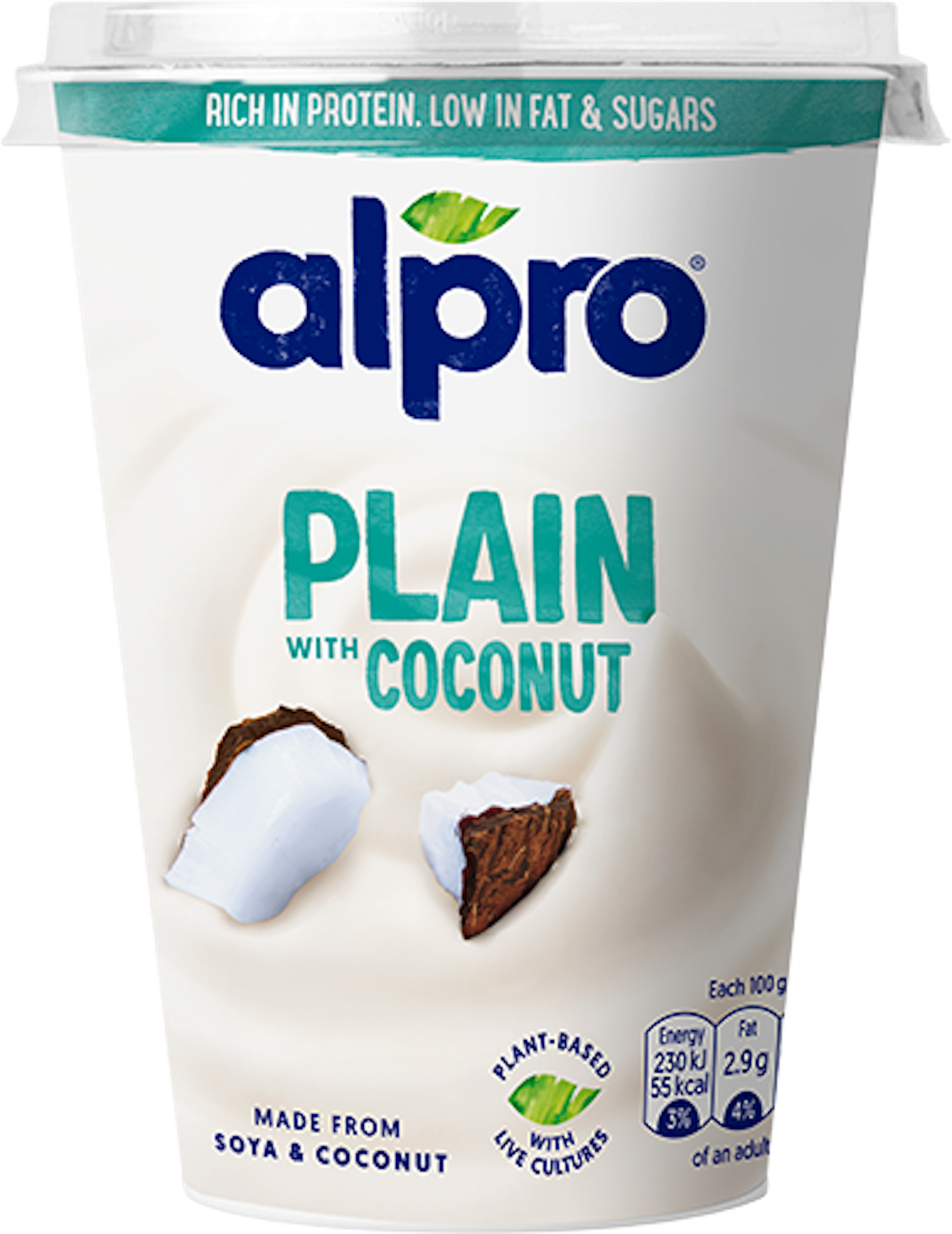 Plain with Coconut