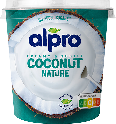 Noix de Coco Nature 350G