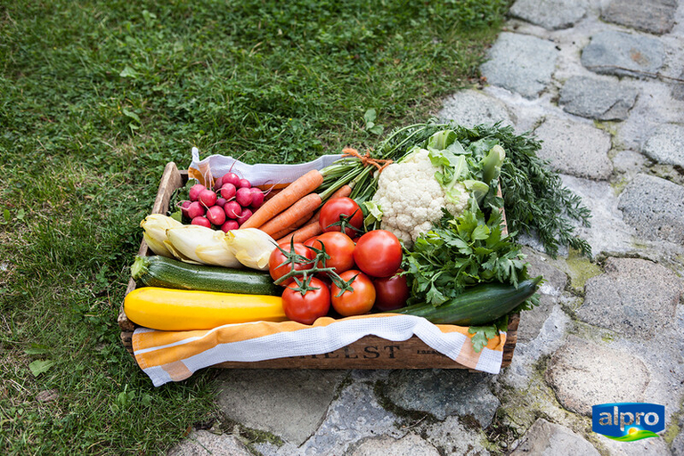 Alpro s’engage pour une politique climatique forte
