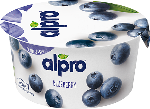 Fermentirani sojin proizvod borovnica