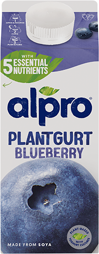 Plantgurt Blåbär