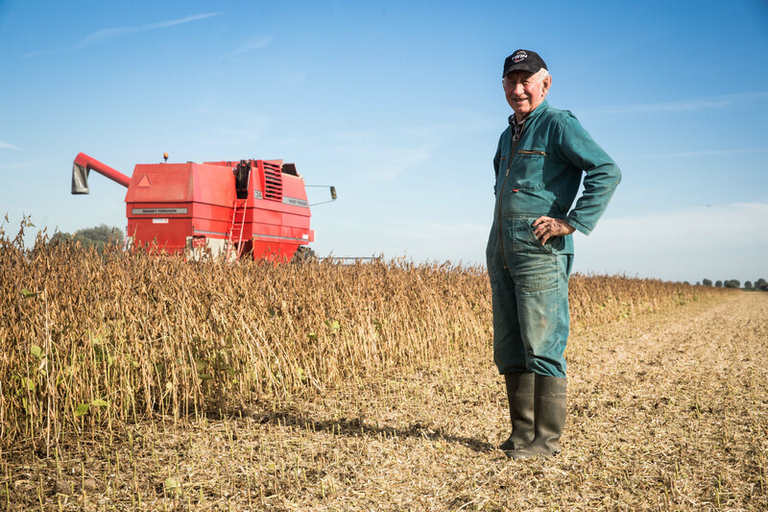 10 février, c'est la Journée mondiale des légumineuses