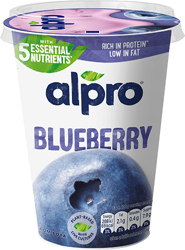Blueberry