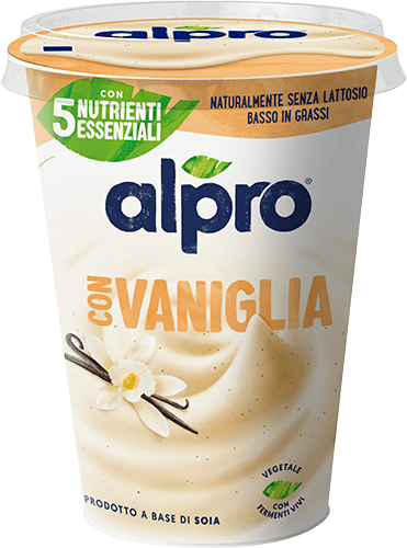 Vaniglia 400g