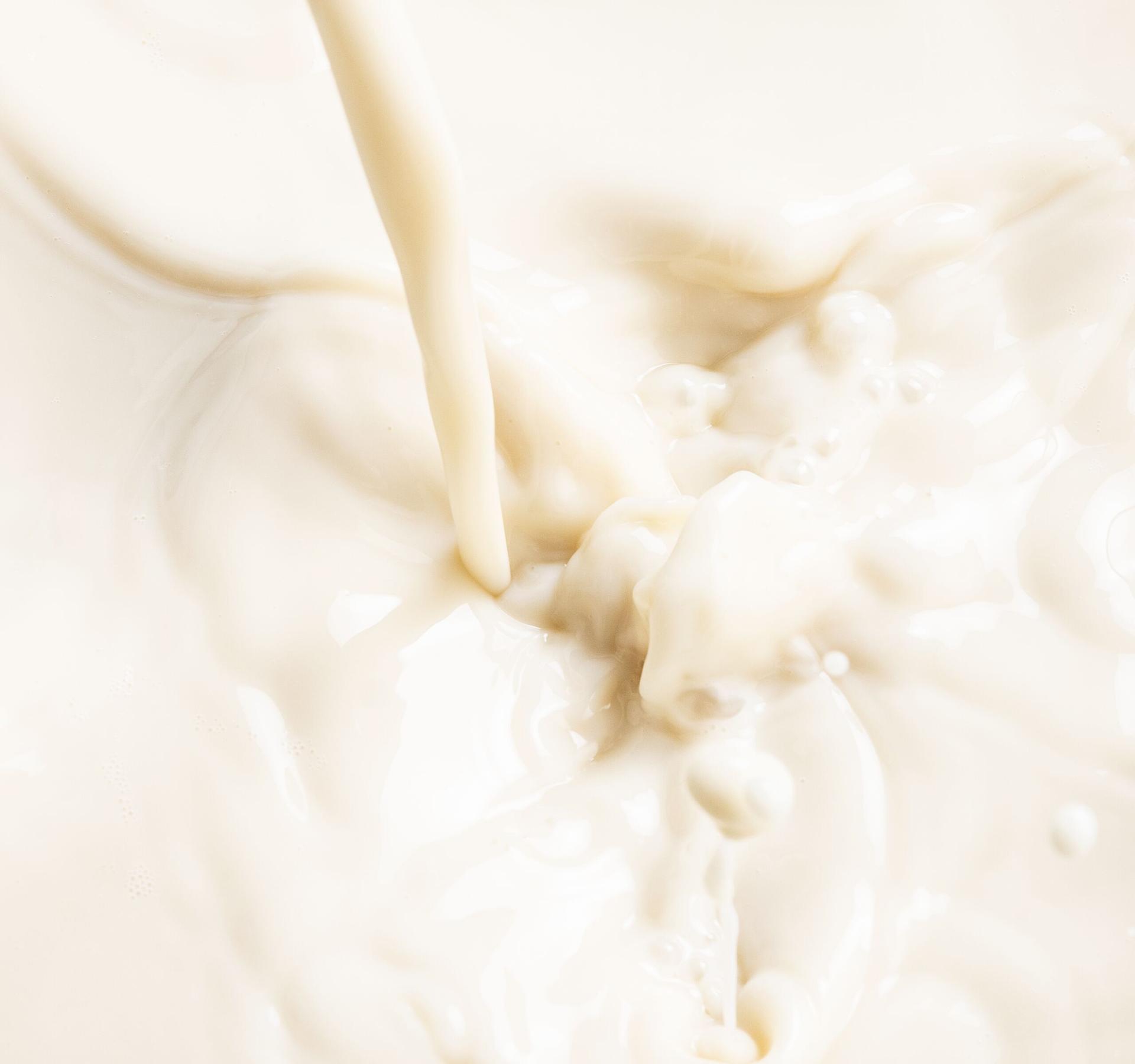Enzyme, Vitamine und Mineralstoffe