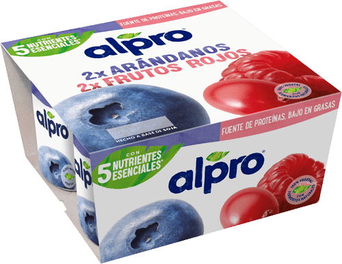 Arándanos / Frutos Rojos