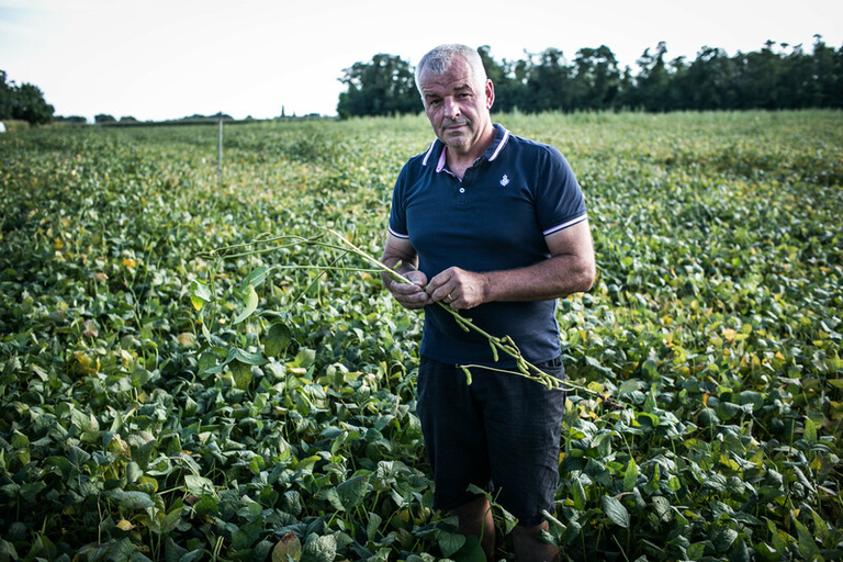 Wie Landwirte und Lebensmittelunternehmen zur Rettung unseres Planeten beitragen können