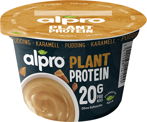 High Protein Pudding Karamell